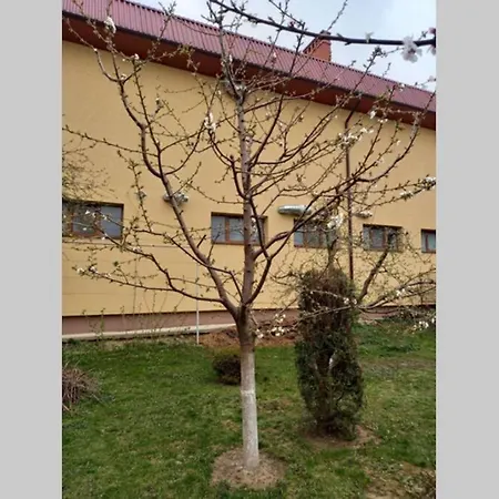 Apartmán в центрі мукачева Mukačevo