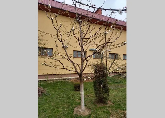 公寓 в центрі мукачева 穆卡切沃